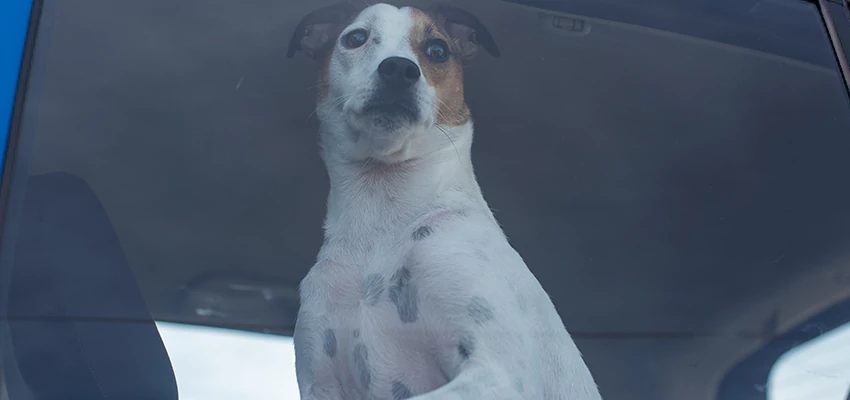 Car Lockout Solutions in Solvang, California