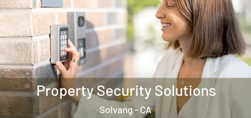  Property Security Solutions Solvang - CA